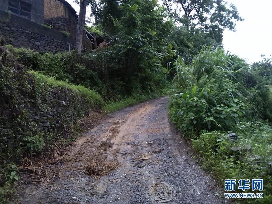 （集中連片特困地區(qū)貧困村調(diào)研行&middot;圖文互動(dòng)）（3）百果園里幸福長(zhǎng)&mdash;&mdash;湖南鳳凰縣菖蒲塘村脫貧調(diào)查