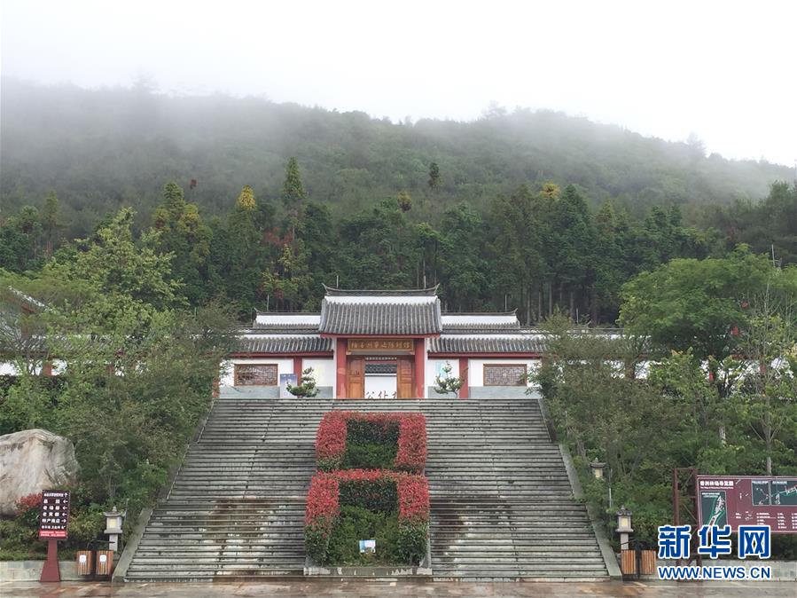 （熱點(diǎn)鮮報(bào)&middot;圖文互動(dòng)）（5）善洲精神永相傳：留下一片綠洲 造福家鄉(xiāng)百姓