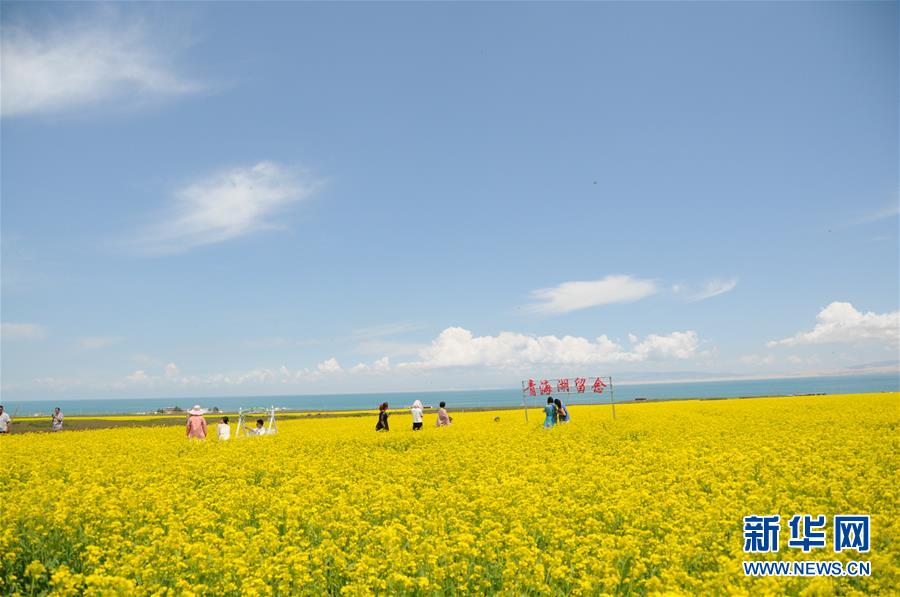 （新華全媒頭條&middot;圖文互動）（8）大湖見證 &mdash;&mdash;持續(xù)保護讓青海湖生態(tài)華麗&ldquo;蝶變&rdquo;