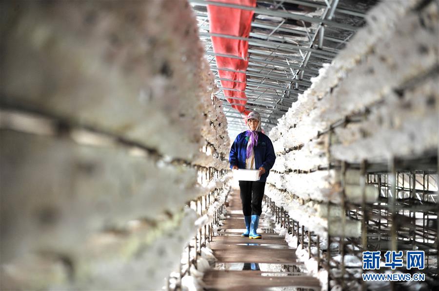 （習(xí)近平的小康故事&middot;圖文互動）（6）&ldquo;我很期盼的一件事，就是讓鄉(xiāng)親們飽餐一頓肉&rdquo;&mdash;&mdash;習(xí)近平和脫貧攻堅的故事