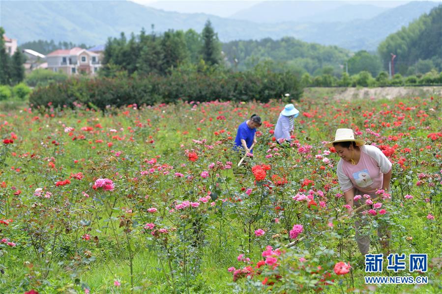 （新華全媒頭條&middot;圖文互動(dòng)）（1）幕阜山&ldquo;搬窮&rdquo;記