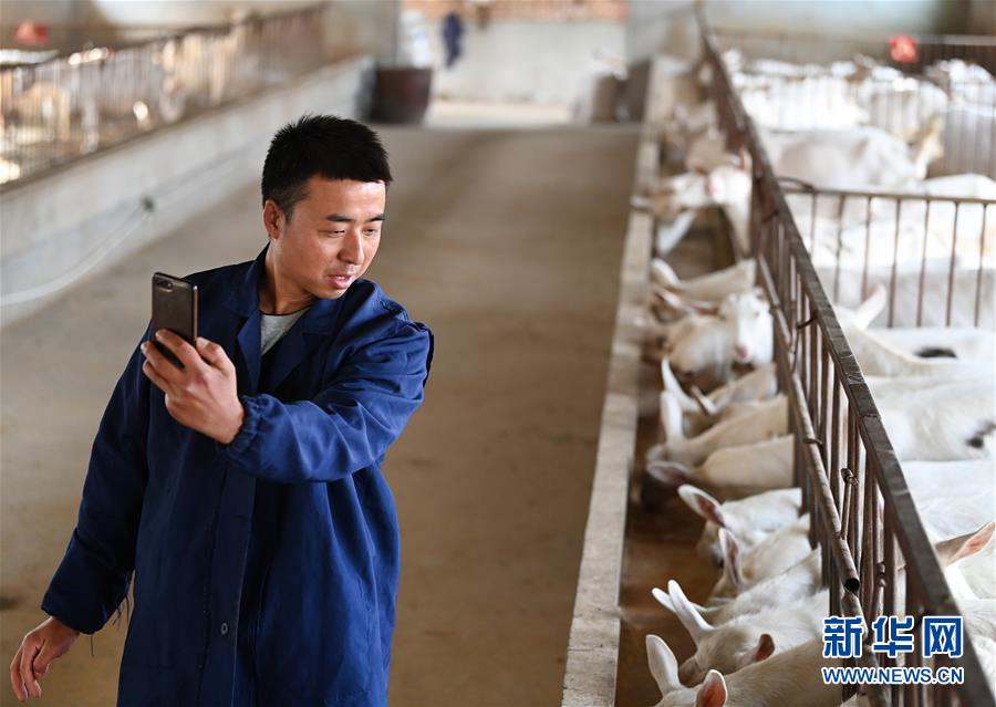 （新華全媒頭條&middot;五中全會精神在基層&middot;圖文互動）（12）奮發(fā)新青年　逐夢新征程&mdash;&mdash;各地青年學習貫徹落實五中全會精神觀察