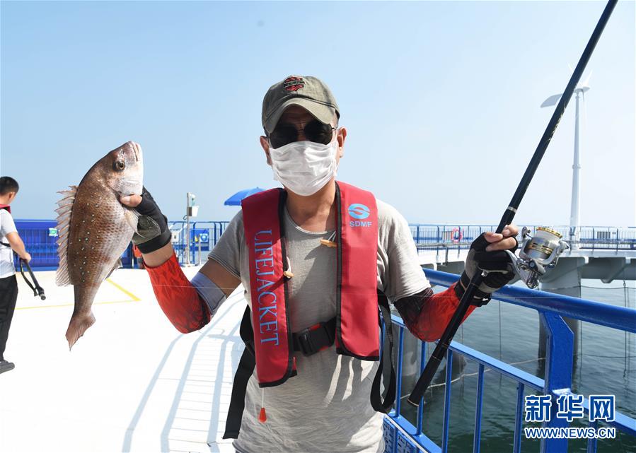 （新華全媒頭條&middot;圖文互動(dòng)）（4）&ldquo;拔&rdquo;海起牧場(chǎng) &ldquo;耕&rdquo;海新牧歌