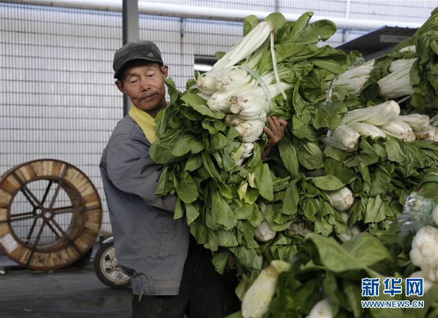 （全面建成小康社會&ldquo;百城千縣萬村調(diào)研行&rdquo;&middot;圖文互動）（3）安徽當(dāng)涂：強產(chǎn)業(yè)抓主體促增收