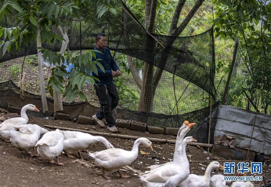 （新華全媒頭條&middot;兩會精神看落實&middot;圖文互動）（8）培育新機 開辟新局&mdash;&mdash;落實全國兩會精神激發(fā)經濟發(fā)展新動能述評