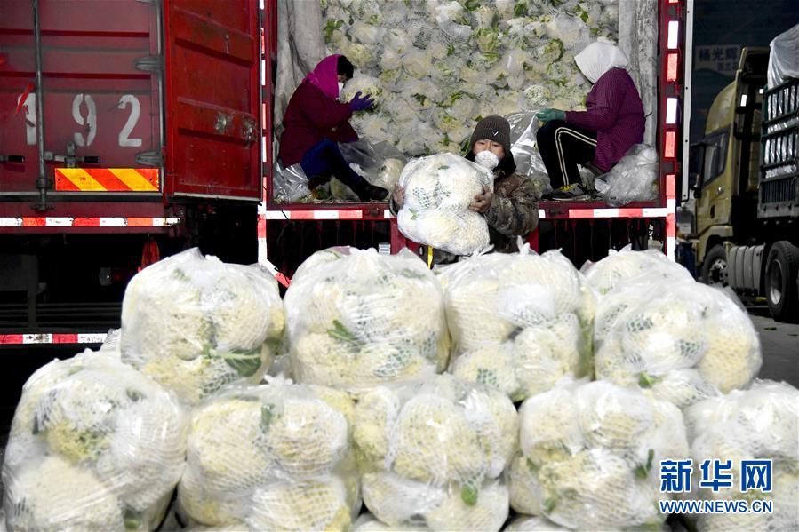 （在習(xí)近平新時(shí)代中國特色社會主義思想指引下&mdash;&mdash;新時(shí)代新作為新篇章&middot;習(xí)近平總書記關(guān)切事&middot;圖文互動(dòng)）（5）&ldquo;菜籃子&rdquo;里的力量&mdash;&mdash;全國各地努力做好保障和改善民生工作在行動(dòng)