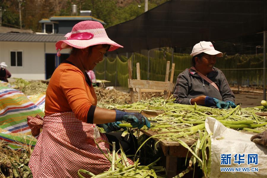 （在習(xí)近平新時(shí)代中國特色社會(huì)主義思想指引下&mdash;&mdash;新時(shí)代新作為新篇章&middot;習(xí)近平總書記關(guān)切事&middot;圖文互動(dòng)）（4）啃下最后的硬骨頭&mdash;&mdash;脫貧攻堅(jiān)掛牌督戰(zhàn)進(jìn)行時(shí)