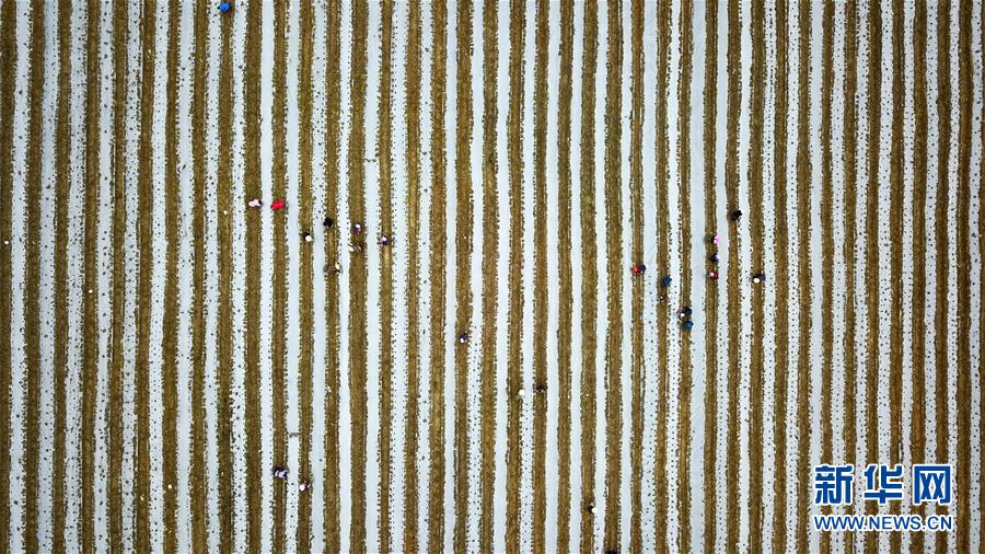 （在習(xí)近平新時(shí)代中國特色社會(huì)主義思想指引下&mdash;&mdash;新時(shí)代新作為新篇章&middot;習(xí)近平總書記關(guān)切事&middot;圖文互動(dòng)）（6）啃下最后的硬骨頭&mdash;&mdash;脫貧攻堅(jiān)掛牌督戰(zhàn)進(jìn)行時(shí)