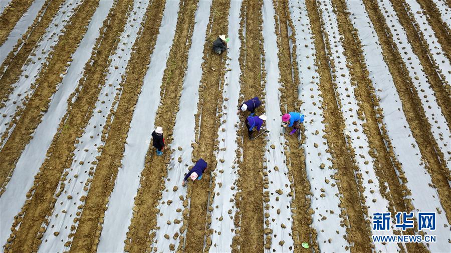 （在習(xí)近平新時(shí)代中國特色社會(huì)主義思想指引下&mdash;&mdash;新時(shí)代新作為新篇章&middot;習(xí)近平總書記關(guān)切事&middot;圖文互動(dòng)）（8）啃下最后的硬骨頭&mdash;&mdash;脫貧攻堅(jiān)掛牌督戰(zhàn)進(jìn)行時(shí)