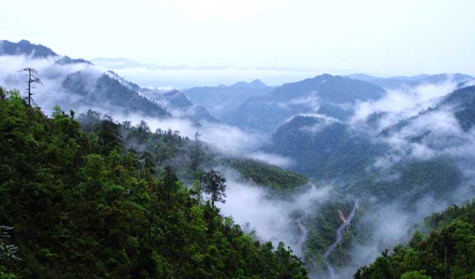 廣東乳源、廣東乳陽林場、云南華寧葫蘆口電站