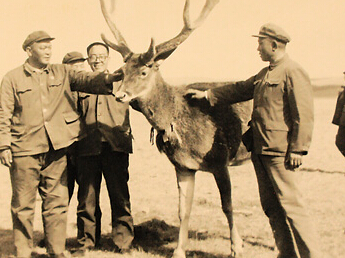 尕布龍在海北藏族自治州下鄉(xiāng)調研