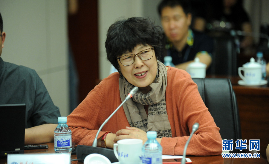 陳小波：新華人對(duì)歷史的擔(dān)當(dāng)、情感與良知