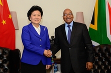 南非總統(tǒng)祖馬會見劉延東