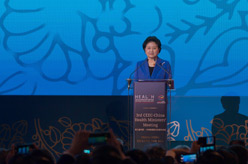 第三屆中國－中東歐國家衛(wèi)生部長論壇在匈牙利舉行 劉延東出席開幕式并致辭