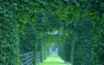 成都二環(huán)高架穿&ldquo;綠衣&rdquo;