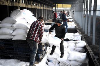 安徽：農(nóng)資&ldquo;春運&rdquo;助春耕