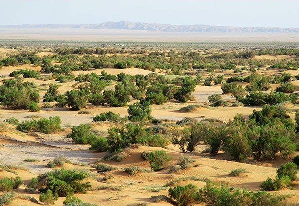 【長(zhǎng)篇通訊】塞罕壩，京城綠色屏障的前世今生
