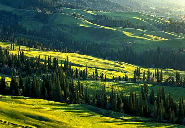 【長(zhǎng)篇通訊】塞罕壩，京城綠色屏障的前世今生