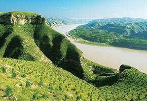 張建龍：&ldquo;三北工程&rdquo;實(shí)現(xiàn)生態(tài)、經(jīng)濟(jì)、社會(huì)效益&ldquo;多贏&rdquo;