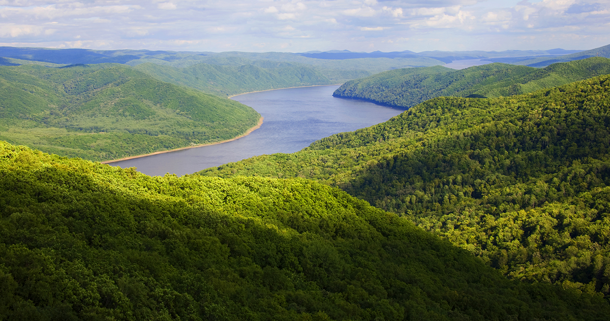 張建龍：&ldquo;三北工程&rdquo;實(shí)現(xiàn)生態(tài)、經(jīng)濟(jì)、社會(huì)效益&ldquo;多贏&rdquo;