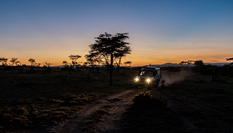 與獅同行&mdash;&mdash;東非草原上的中國追夢(mèng)人