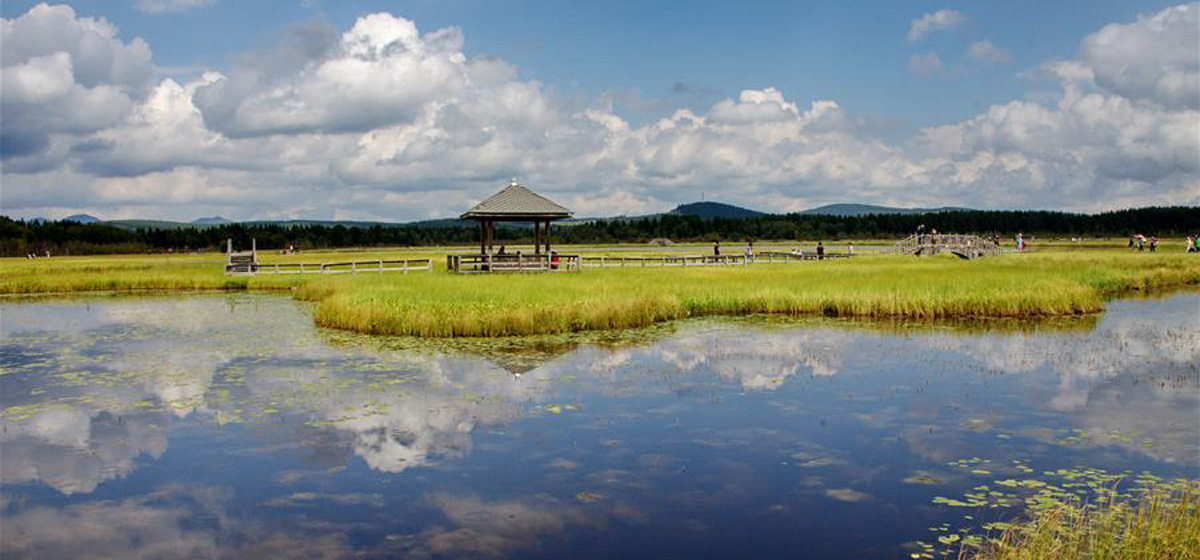 那一抹綠色，走進(jìn)越來(lái)越多人心里&mdash;&mdash;河北塞罕壩續(xù)寫(xiě)新時(shí)代綠色傳奇