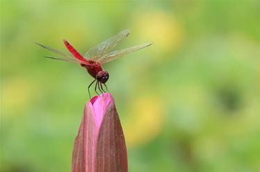 2019，精&ldquo;彩&rdquo;紛呈