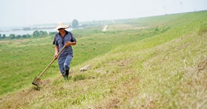 康山大堤上的脫貧&ldquo;守堤人&rdquo;