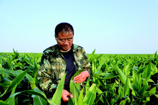 比農(nóng)民更像農(nóng)民的&ldquo;廳級村官&rdquo;