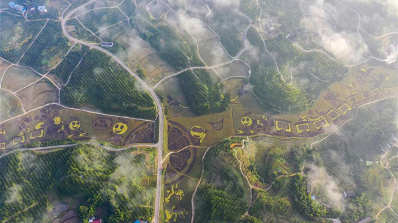 百城千縣萬村調(diào)研行｜在三峽橘鄉(xiāng)，遇見最美的田園時光！