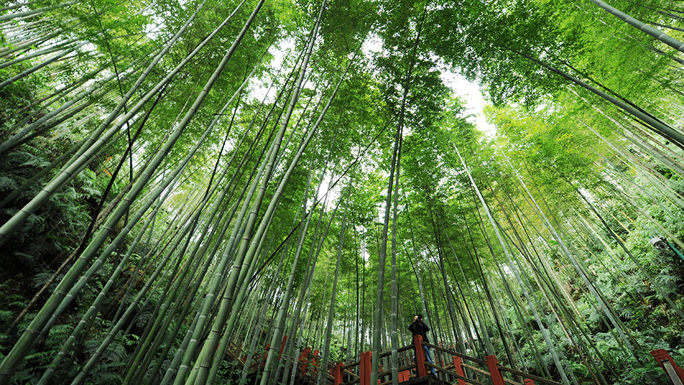 合作共治、責(zé)任共擔(dān)、效益共享&mdash;&mdash;赤水河流域跨省生態(tài)補(bǔ)償取得積極成效