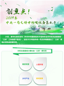 劃重點！2019年中央一號文件中的硬任務(wù)怎么干
