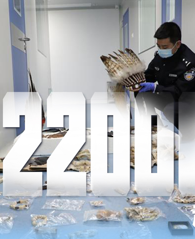 抗疫有&ldquo;法&rdquo;，就是這么給力！