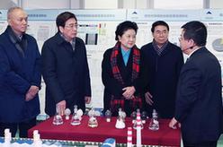 劉延東考察北京科技創(chuàng)新中心建設情況