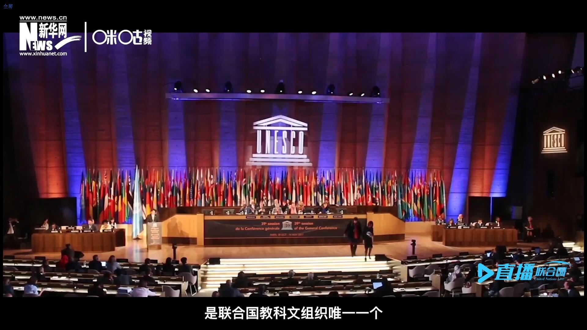 民間藝術(shù)國際組織成立于1979年，是聯(lián)合國教科文組織唯一一個(gè)以保護(hù)和挖掘國際民間藝術(shù)為工作中心的國際機(jī)構(gòu)。