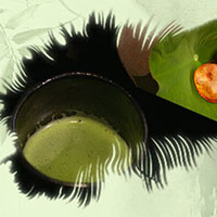 熱茶與伏天的關系，只有清涼