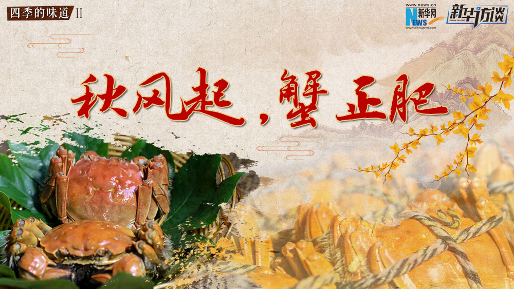 秋風(fēng)起，蟹正肥