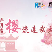 三月賞櫻，流連武大