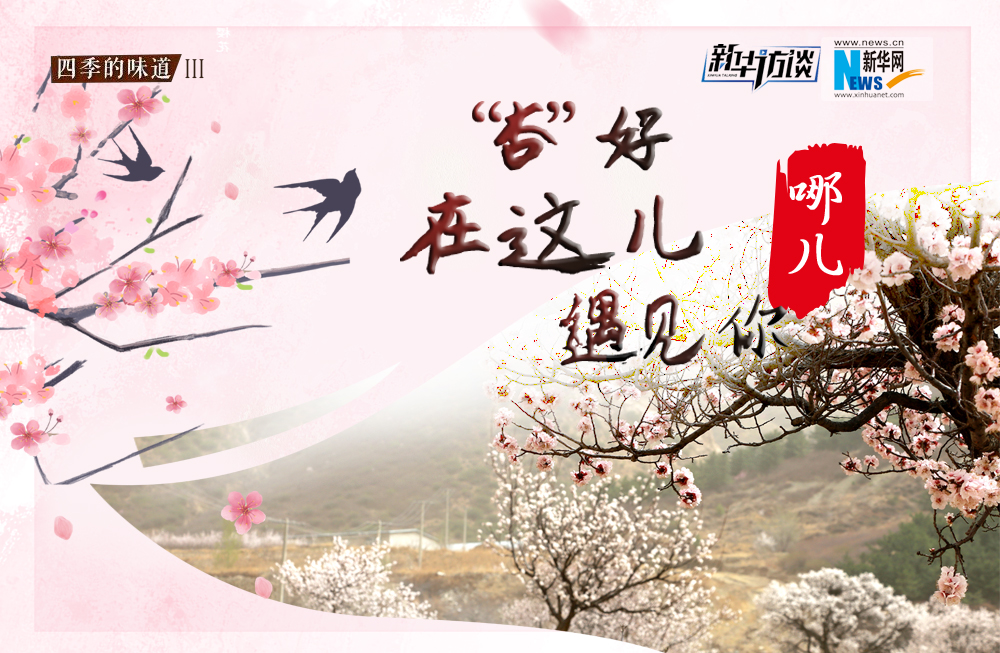 哪兒？&ldquo;杏&rdquo;好在這兒遇見你！