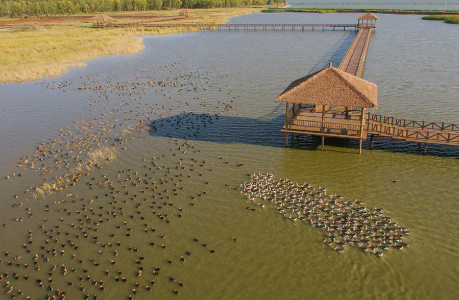 新華微評(píng)&middot;學(xué)習(xí)路上：生態(tài)興，百業(yè)旺