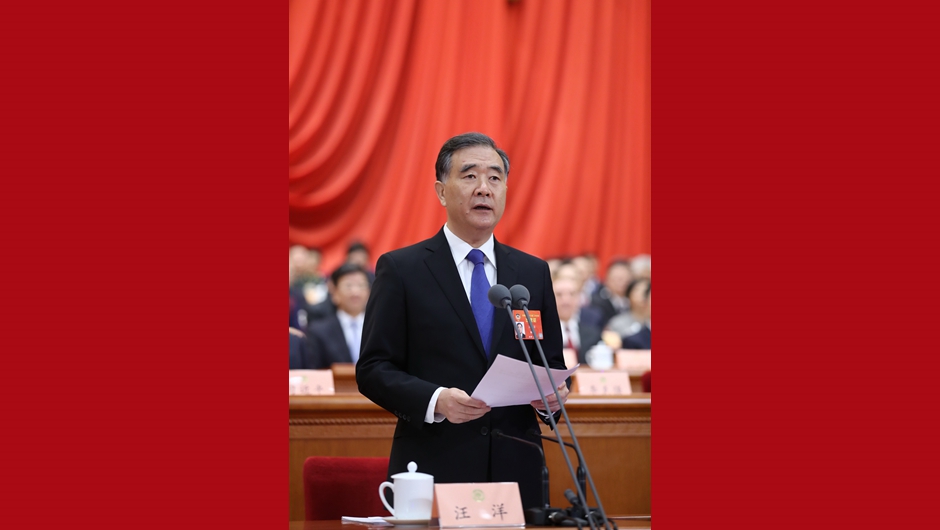 汪洋發(fā)表講話(huà)