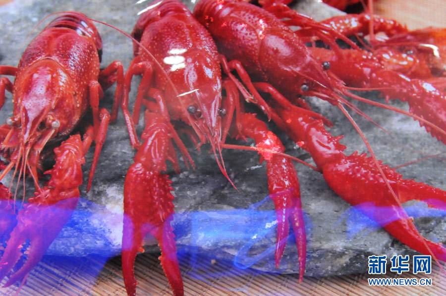 螺螄殼里做道場，小龍蝦吃出大產(chǎn)業(yè)