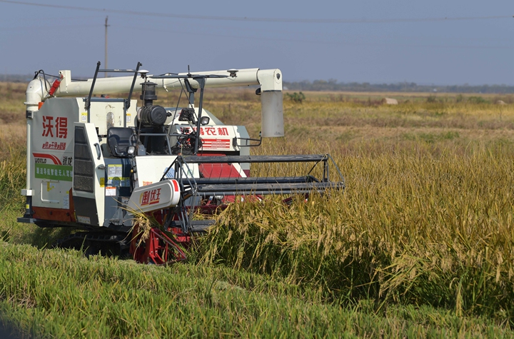 新華社評論員:穩(wěn)固耕地基本盤，打好種業(yè)翻身仗