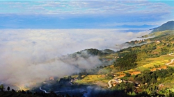 臺胞臺商熱議陜西惠臺&ldquo;60條&rdquo;：期盼落實、共享機遇