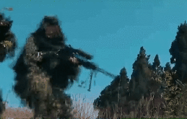 突入，擊斃！直擊武警特戰(zhàn)反劫持演練！