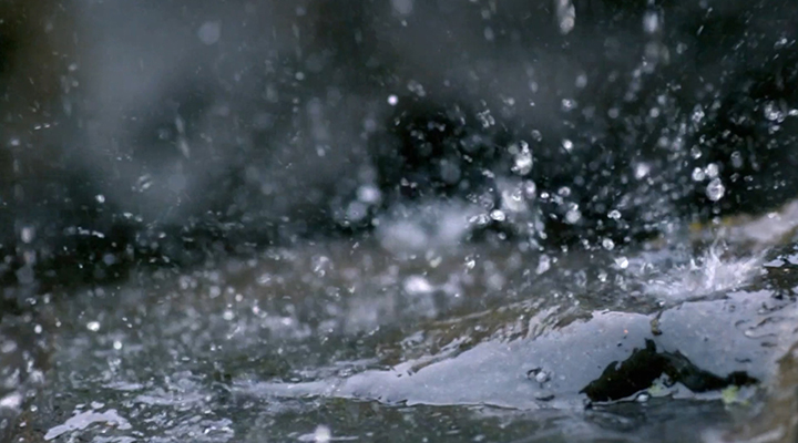 城市內(nèi)澇暴雨避險指南來了！