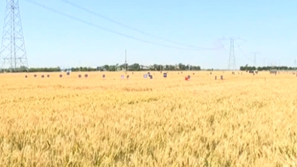 陜西：智能平臺(tái)助力夏收 實(shí)現(xiàn)農(nóng)機(jī)資源共享