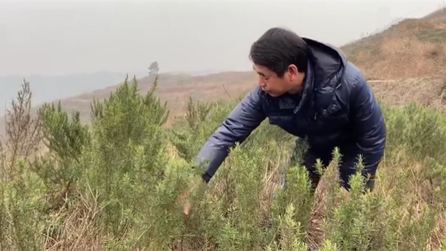 新春走基層｜脫貧后，駐村扶貧隊(duì)長(zhǎng)在干啥？