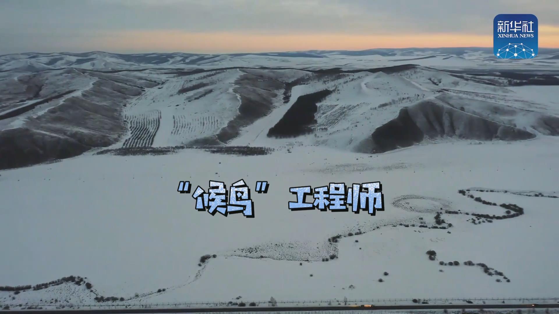 我們在奔跑丨一路向北！他是逆行的&ldquo;候鳥&rdquo;