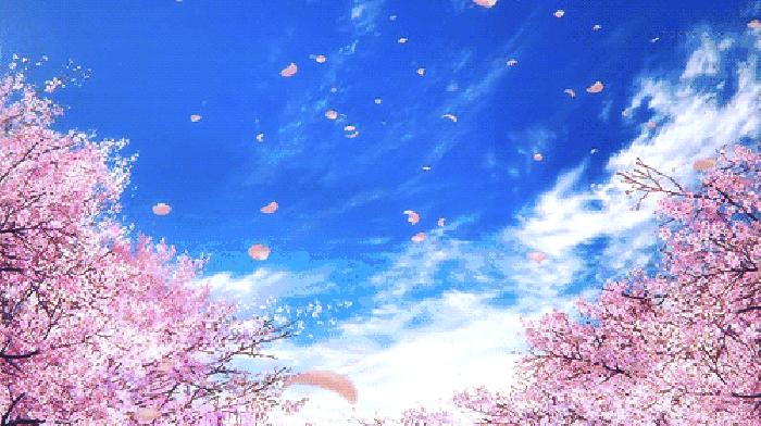 寧波這個地方早櫻花開成海，滿足你對春天的所有想象